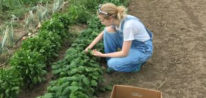 Gleaning