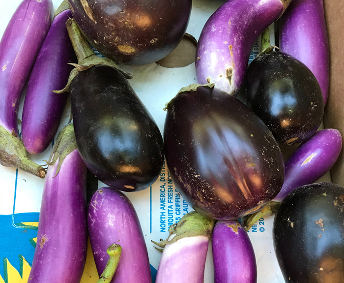 Box of eggplant