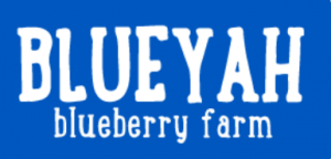 Blueyah Blueberry Farm logo