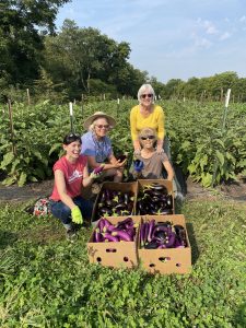 Group of gleaners at a farm with boxes of eggplant