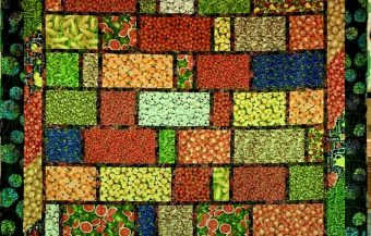 Veggie Quilt