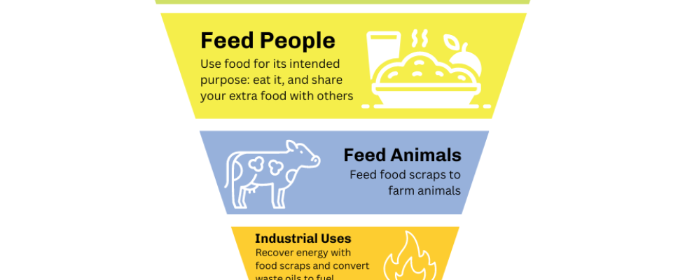 food waste hierarchy graphic