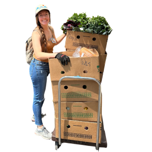 A volunteer stands with a cart full of boxes of vegetables from the farmers market.