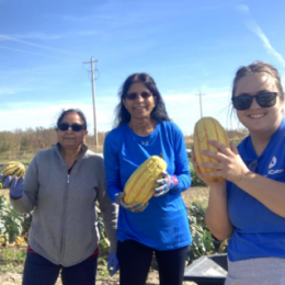3,000 pounds of squash and potatoes from local farmers was delivered to neighbors’ tables!