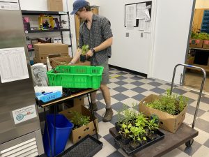 Adam sorts plant starters in the food warehouse.