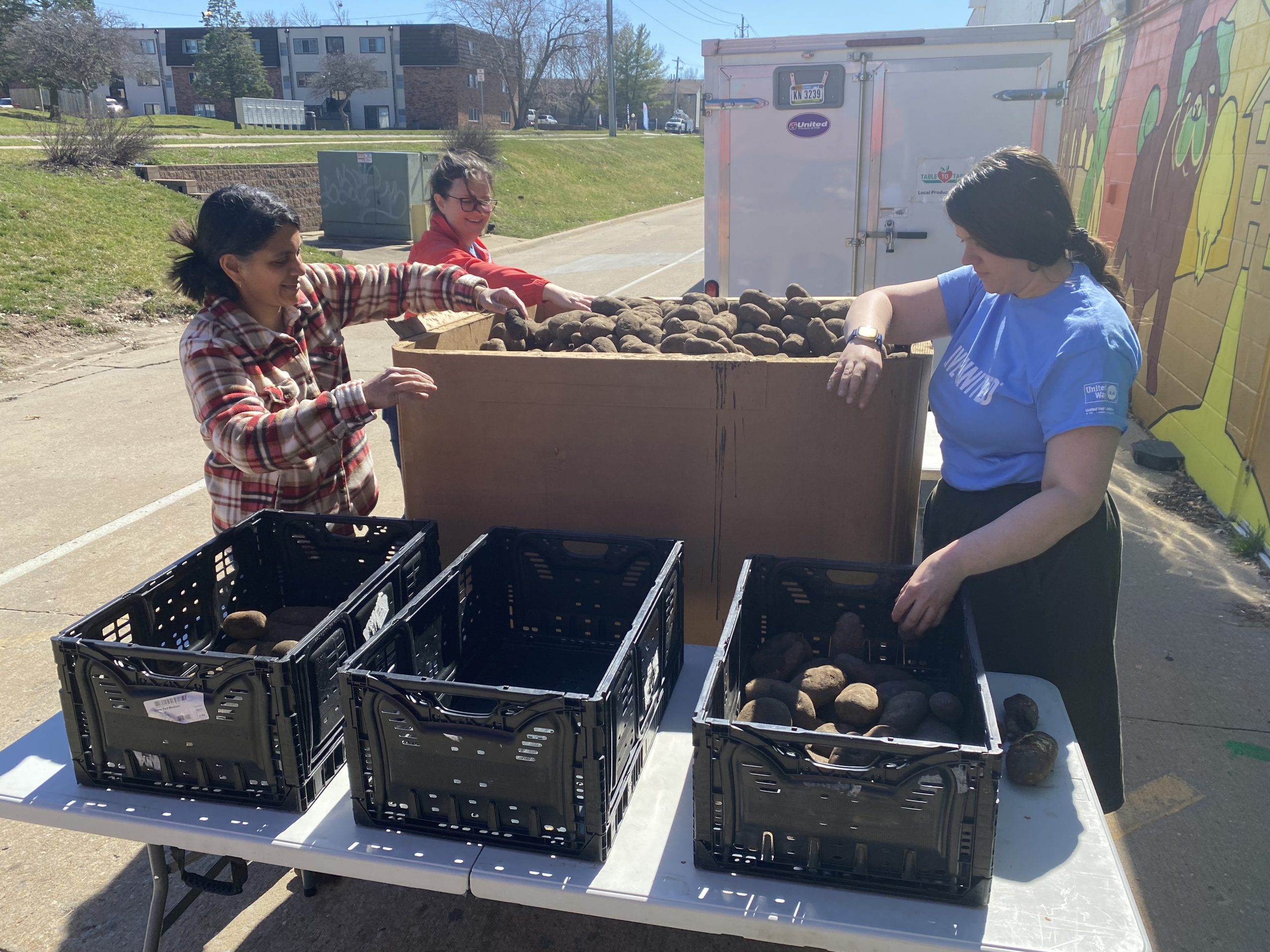 Volunteers unload potatoes into crates for distribution.