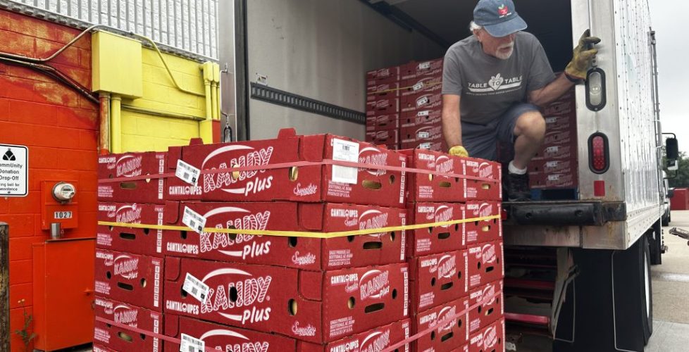 Table to Table volunteer unloading cantaloupes at Community Food Bank.