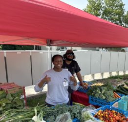 Free Produce Stand