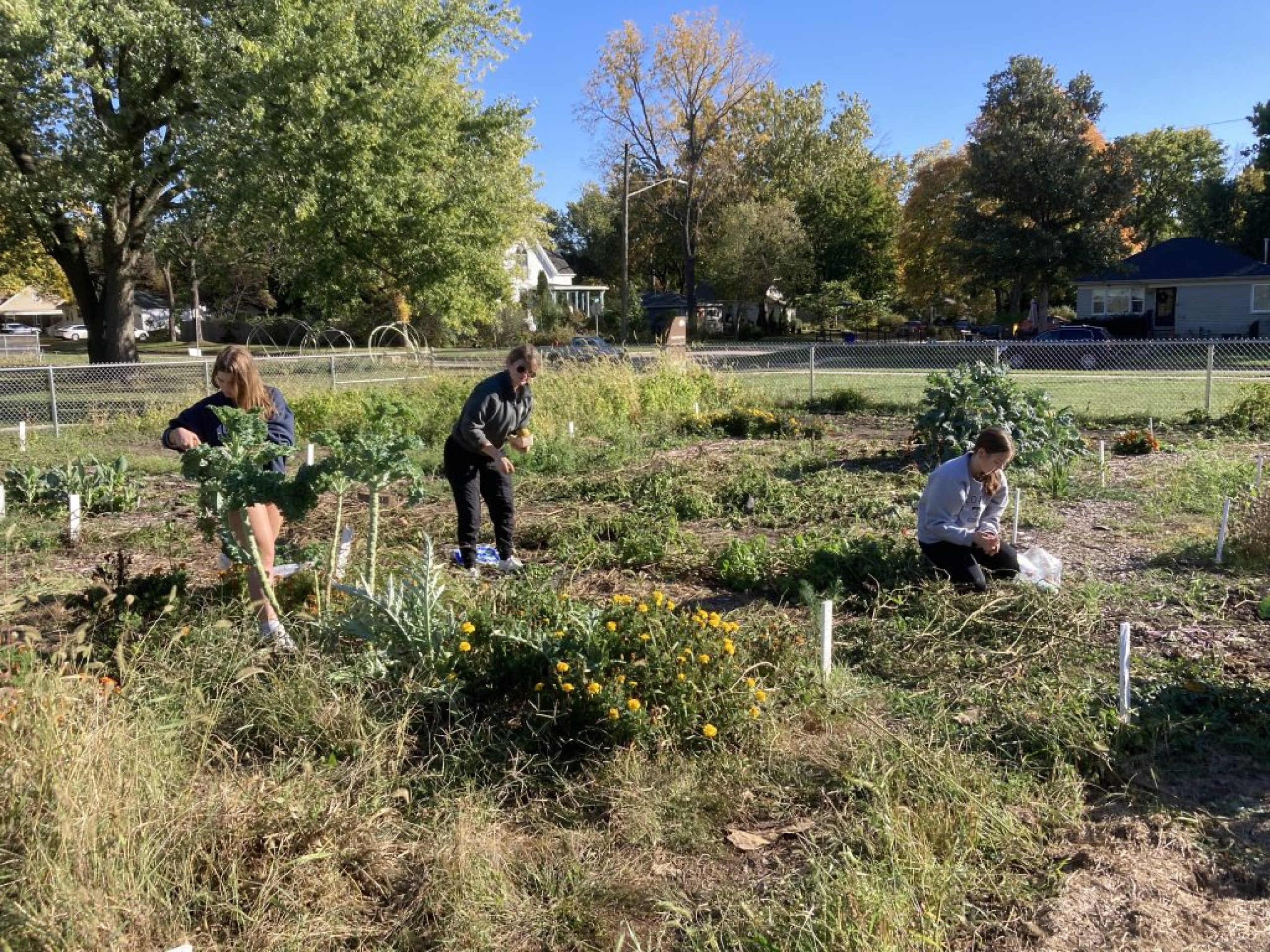 UIowa Plant Futures Initiative