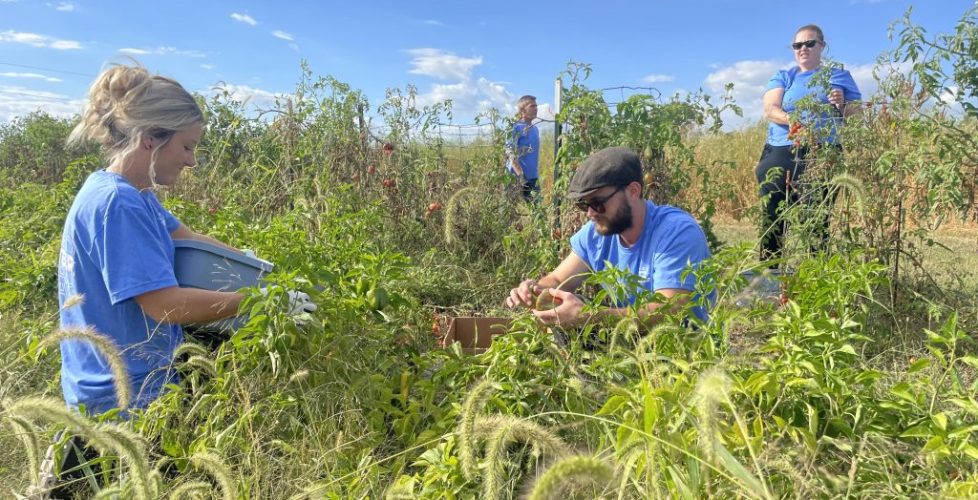 kinseth glean 5 (2) (1)