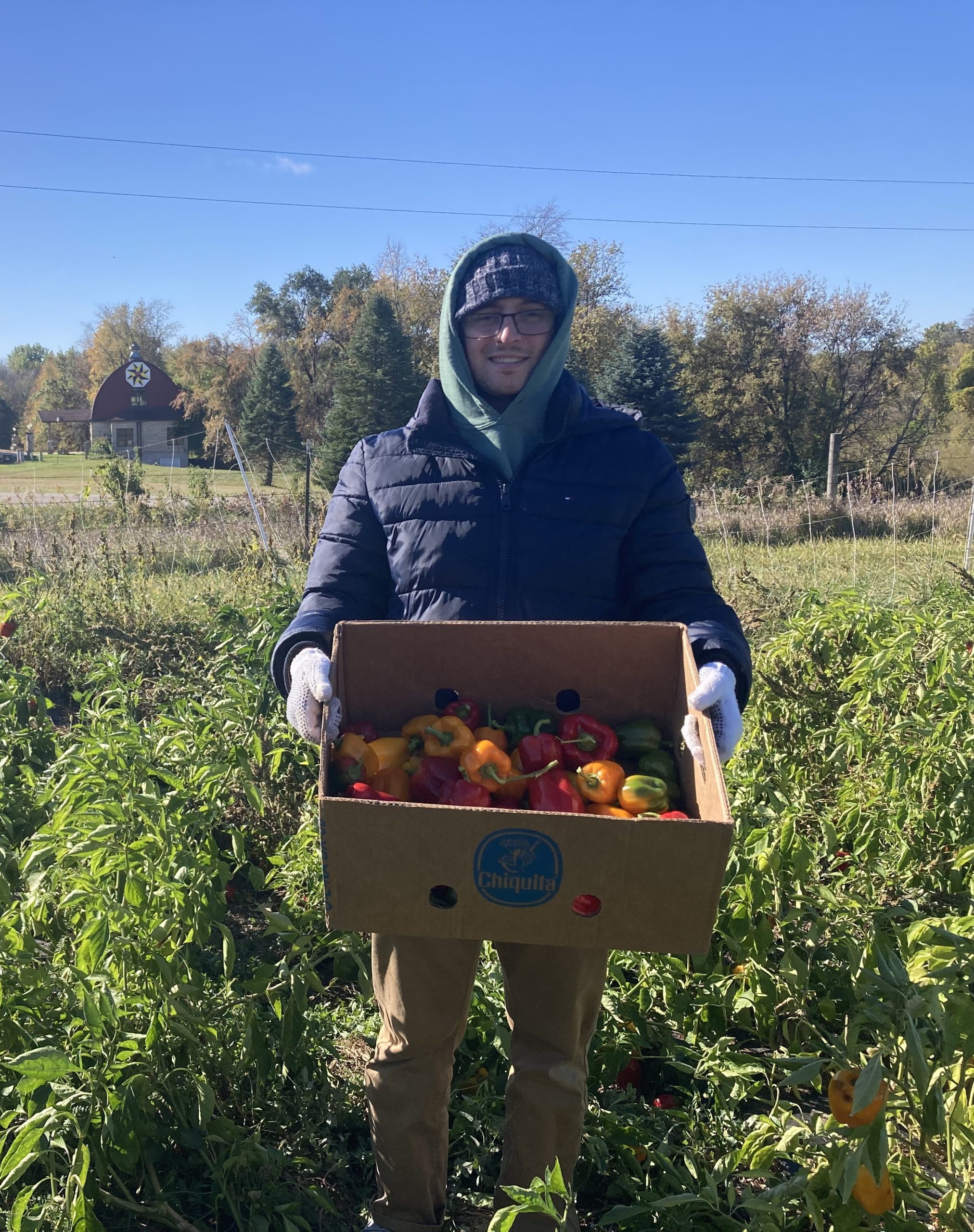 sam gleaning (1) sam gleaning (1)